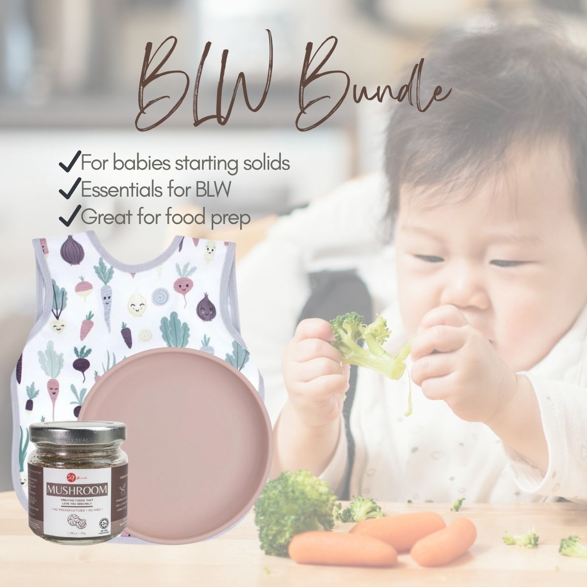 BLW Bundle