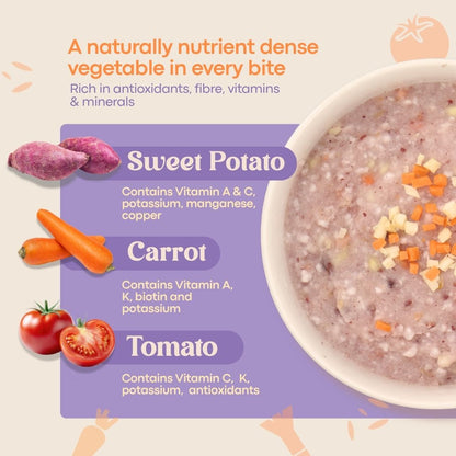 Berry Quick Porridge (4 flavours) (New Packaging)